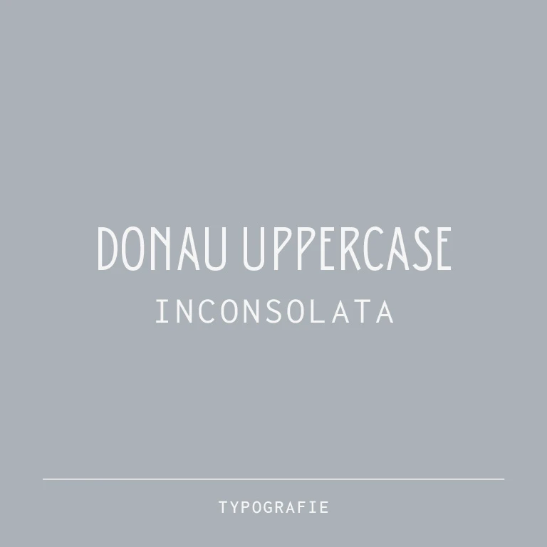Typografie des Weinguts David Mayer